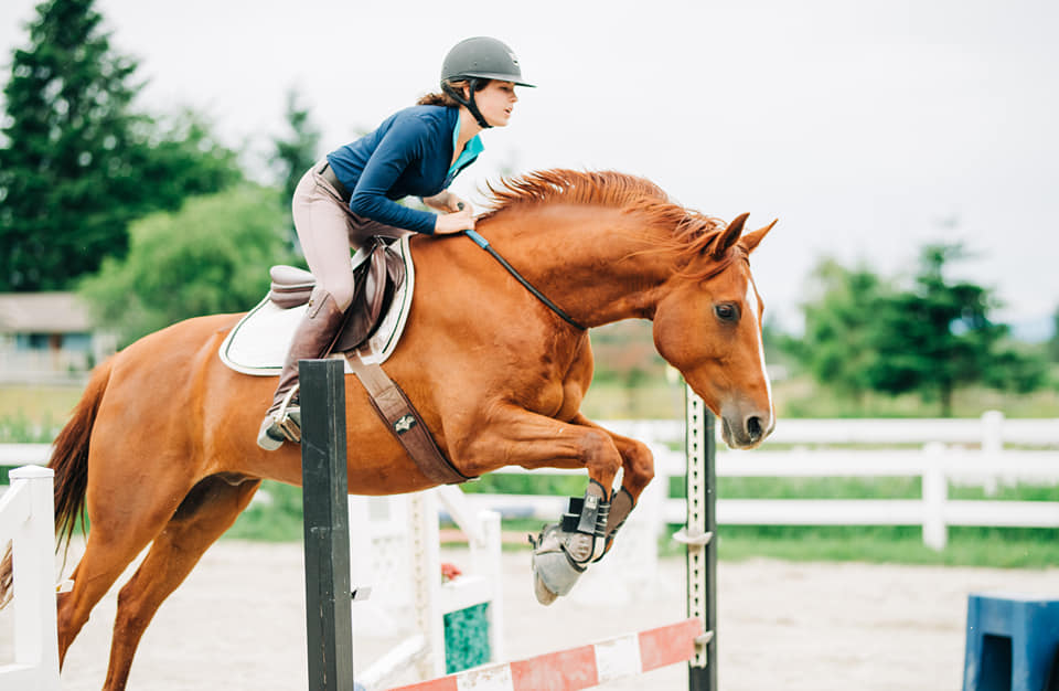 Jenis dan Peraturan dalam Equestrian, Ketangkasan Berkuda